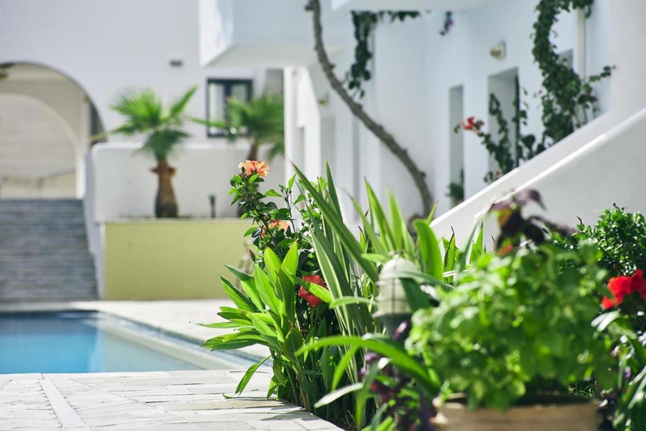 Eva Suites & Apartments Agia Marina (Crete) Exterior photo